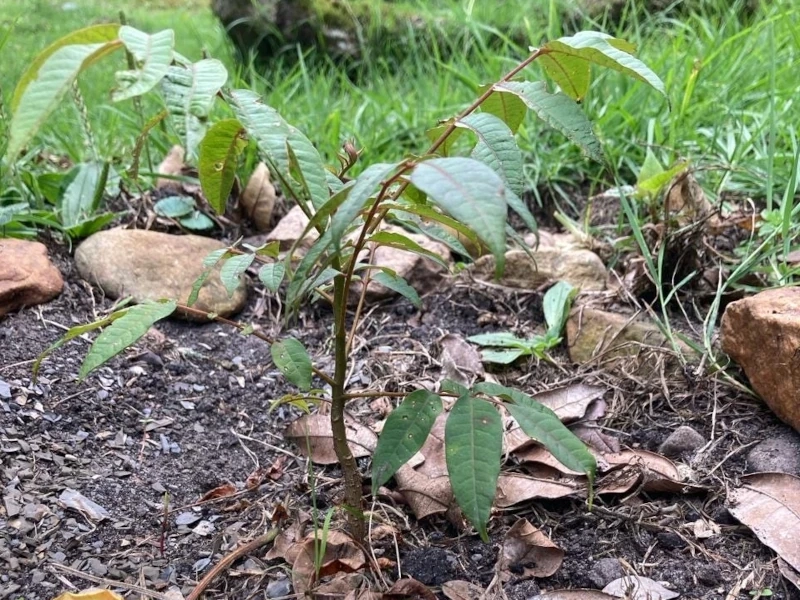 Imagen del post Recobrando el poder