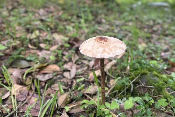 Imagen del post Recobrando el poder