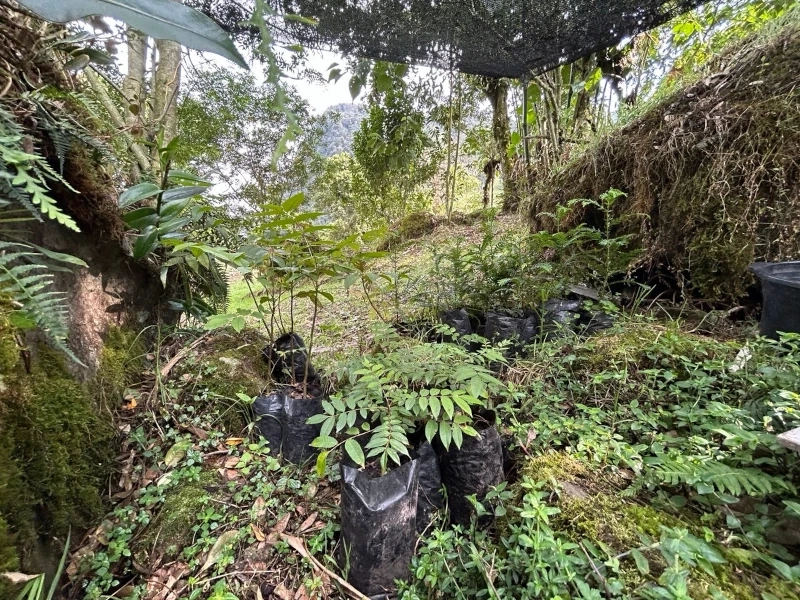 Imagen del post Recobrando el poder